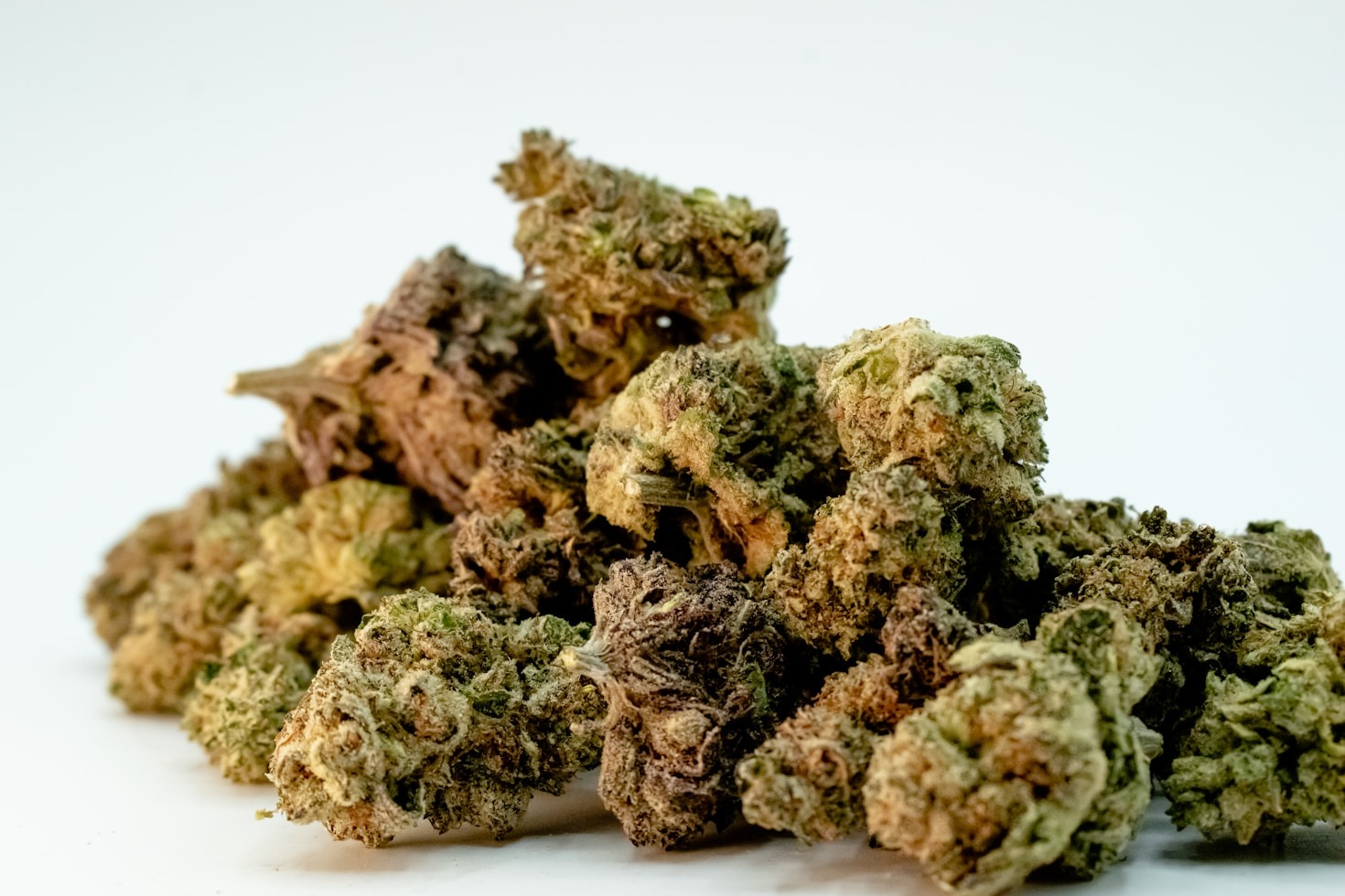 The Evolution Of Canadian Craft Cannabis Culture